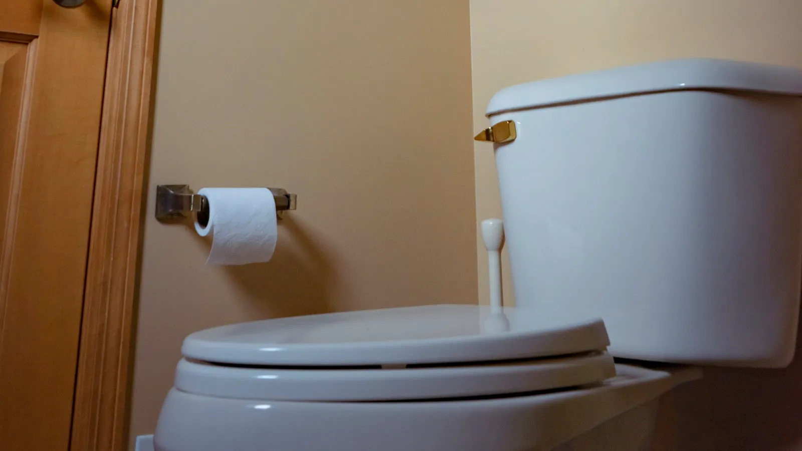 Inodoro blanco con un rollo de papel higiénico en un baño doméstico