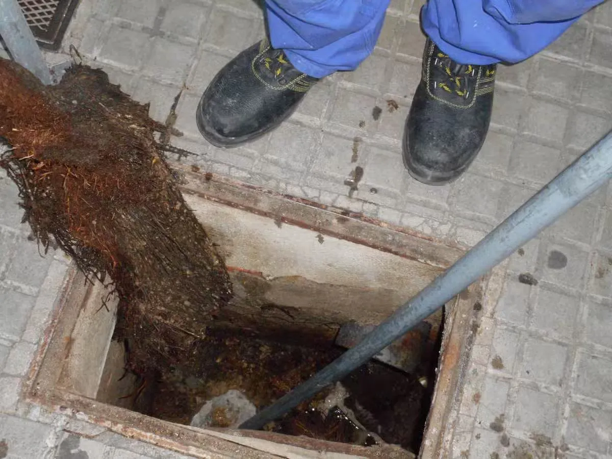 Raíces invadiendo una arqueta antes de una limpieza de tuberías